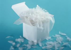 2025年版 ふぐ通販完全ガイド｜安全・新鮮な逸品を最安値で手に入れる方法