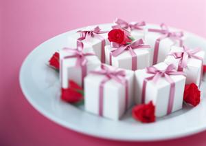 国産の高品質なドッグフードを選ぶなら